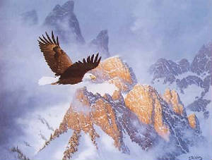 eagle01.jpg