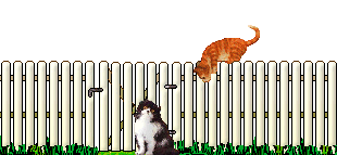catsonfence3.gif